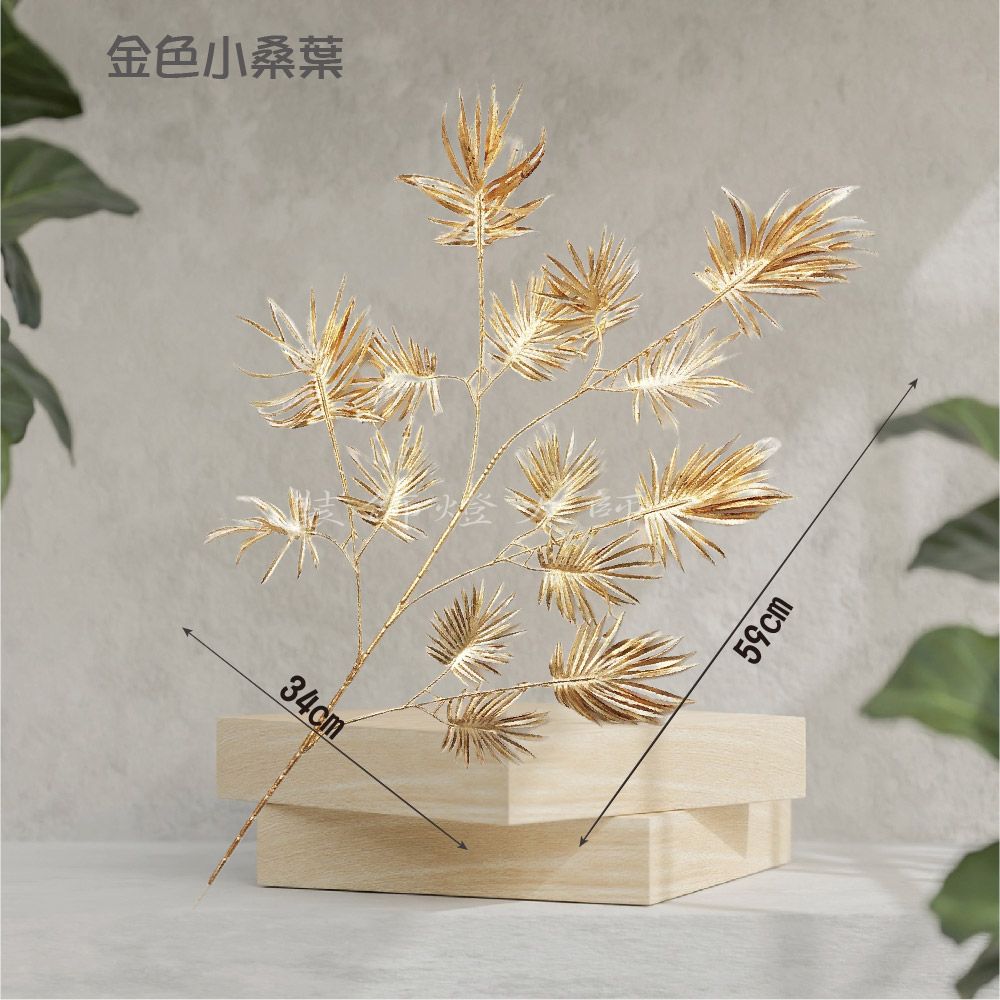 金色仿真-五叉金鐵絲蘭